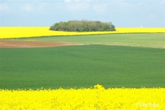 a5f9731adb08213bf534259f409ba0ce