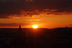 DSC08195