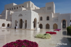 e444ea1bd4e8ae5a52be8b0688bb7edf